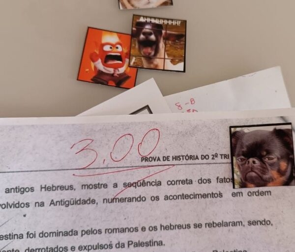 Figurinhas para Provas - Imagem 3