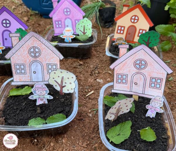 Meu Terrário Meio Ambiente - Imagem 4