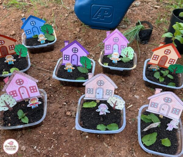 Meu Terrário Meio Ambiente