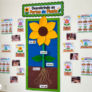 Descobrindo as Partes da Planta